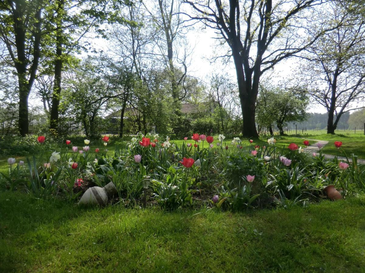 De Kruik Bed and Breakfast Blesdijke Exteriör bild